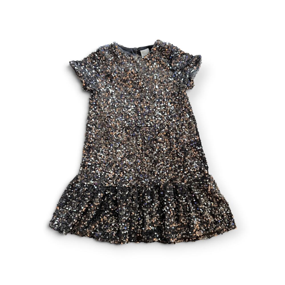 Zara silver sequins velvet dress